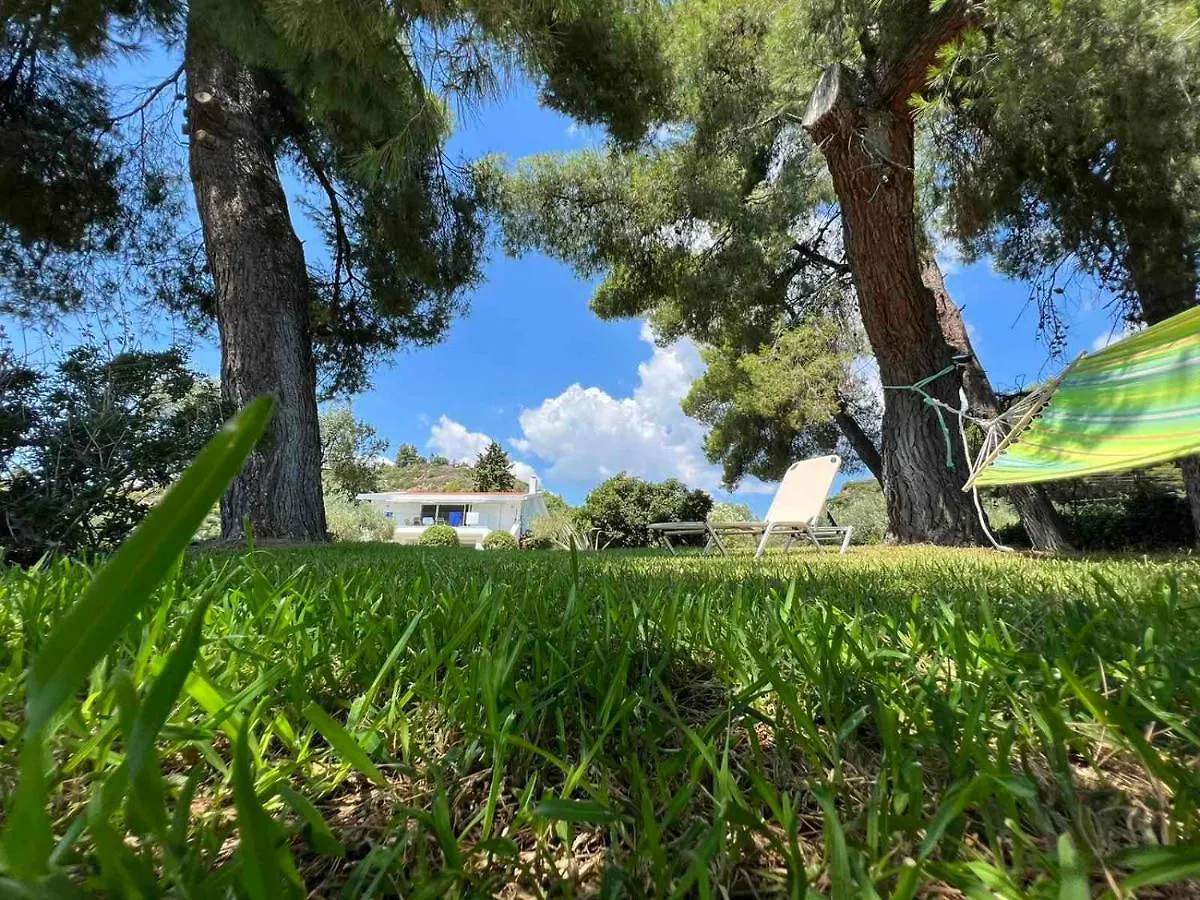 Dream Sea Front Summer Vila Агия-Параскеви Вилла